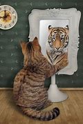 Image result for Cat Lion Mirror Reflection