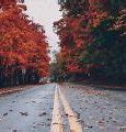 Image result for Fall Collage Wallpaper