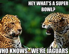 Image result for Jaguar Surprised Meme