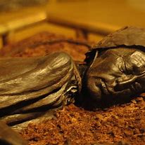 Image result for Peat Bog Mummies