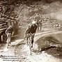 Image result for Vintage Cycling
