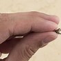 Image result for How to Measure Lobster Claw Clasp