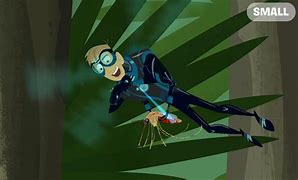 Image result for Wild Kratts Dragonfly