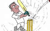 Image result for How's That Cricket Cartoon