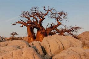 Image result for Botswana Landmarks