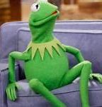 Image result for Kermit Couch Meme