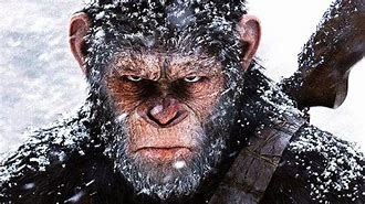 Image result for Apes Together Strong