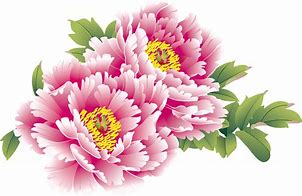 Image result for Chinese New Year Flowers Clip Art