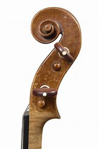Image result for Piccolo Violin