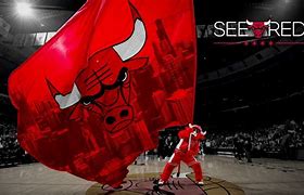Image result for Chicago Bulls Arena