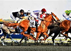 Image result for Dubai Horse Racing Merchandise