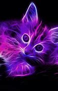 Image result for Cool Wallpapers Cat with Glasses