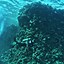 Image result for Scuber Diving Wallpaper