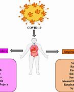 Image result for Long Covid Repeat Infection