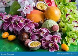 Image result for Orchid Fruit