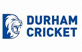 Image result for Durham Softball Logo