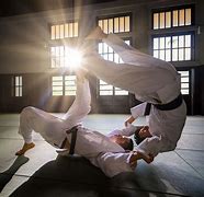 Image result for Judo Dojo