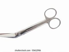 Image result for Surgeon Scissors