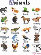 Image result for Animales En Inglés