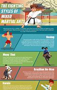 Image result for Types of Martial Arts Styles