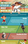 Image result for All Martial Arts Fighting Styles