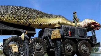Image result for World Most Biggest Snake