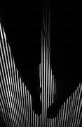 Image result for Black and White Photography iPhone Wallpaper