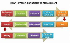 Image result for Two Plus Four Management