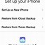 Image result for How Do You Restore Your iPhone