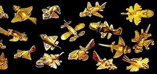 Image result for Colombia Gold Airplane