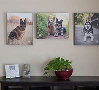 Image result for 16X20 Canvas
