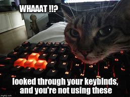 Image result for Mechanical Keyboard Memes