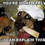 Image result for Funny Animal Roast