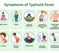 Image result for Typhoid Fever Transmission