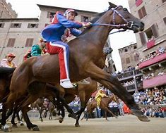 Image result for Horse Racing Medieval