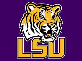 Image result for LSU Tigers Football Logo
