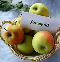 Image result for Jonagold Apple Tag