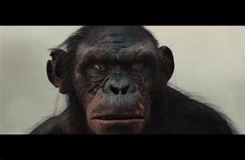 Image result for Koba Planet of the Apes