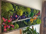 Image result for Preserved Moss Art