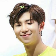 Image result for BTS RM Icons