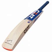 Image result for Ceat Cricket Bat