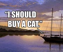Image result for I Should Buy a Boat Meme