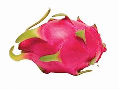 Image result for Dragon Fruit Icon