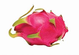 Image result for Dragon Fruit Icon