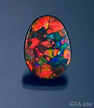 Image result for Rarest Opal