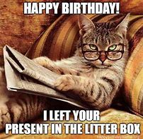 Image result for Drinking Birthday Cat Memes