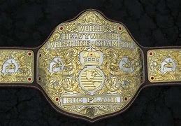 Image result for WWE Championship Belt Replica