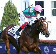 Image result for Breeders Cup Champions