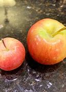 Image result for Unusual Apple's