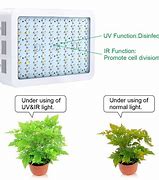 Image result for Chinese LED Grow Lights